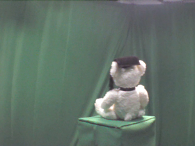 45 Degrees _ Picture 9 _ White Bear Wearing Graduation Cap.png